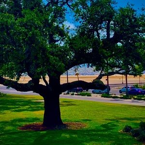 Meet your Posher, Syd